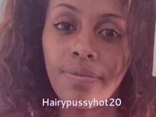Hairypussyhot20