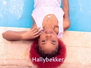 Hallybekker