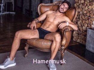 Hamermusk