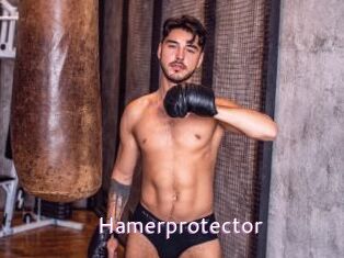Hamerprotector