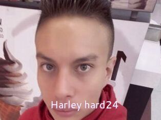 Harley_hard24