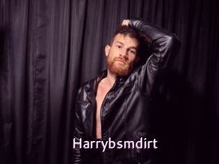 Harrybsmdirt