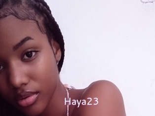 Haya23