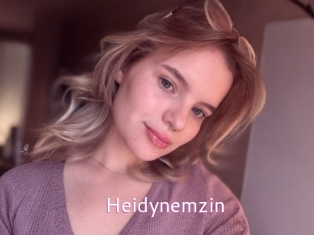 Heidynemzin