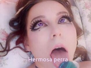 Hermosa_perra