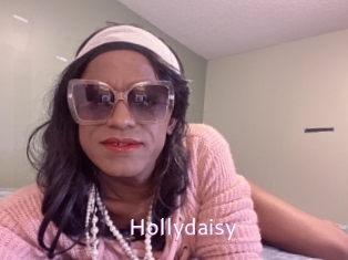 Hollydaisy