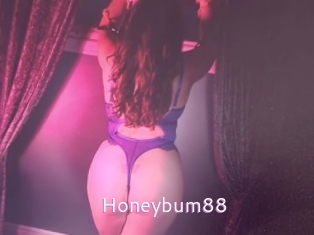 Honeybum88