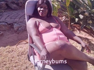 horneybums Just Amateurs