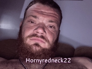 Hornyredneck22