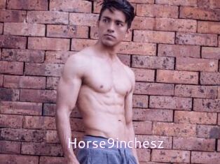 Horse9inchesz