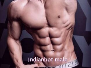 Indianhot_male