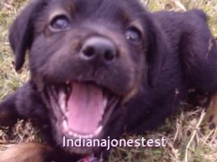 Indianajonestest