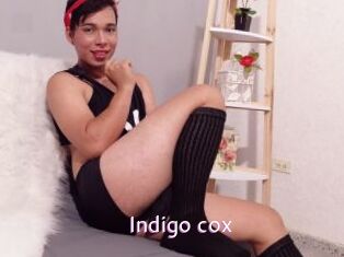 Indigo_cox