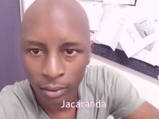Jacaranda