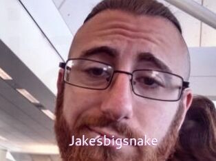 Jakesbigsnake