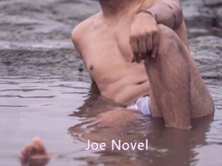 Joe_Novel