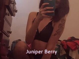 Juniper_Berry