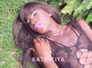 KATALEIYA Just Amateurs
