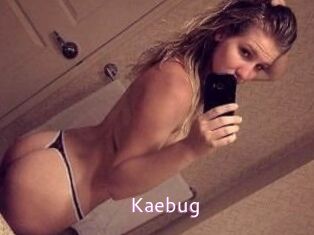 Kaebug