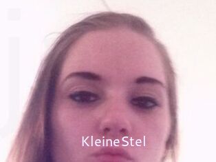 KleineStel
