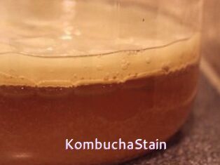 KombuchaStain