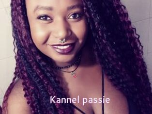 Kannel_passie