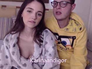 Karinaandigor