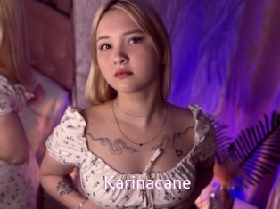 Karinacane