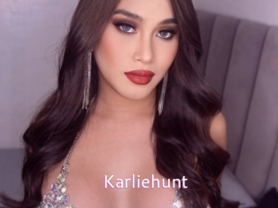 karliehunt Just Amateurs