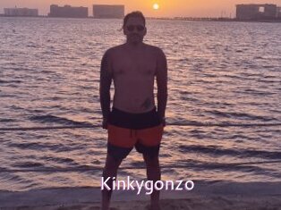 Kinkygonzo