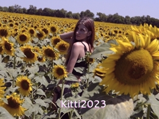 Kitti2023