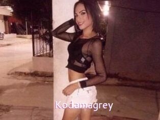 Kodamagrey