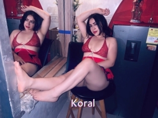 koral Just Amateurs