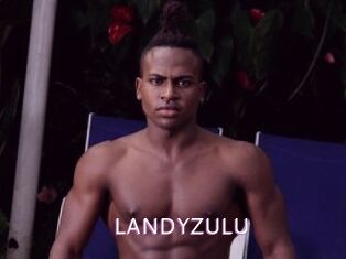 LANDYZULU Just Amateurs
