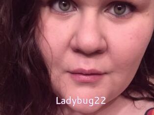Ladybug22