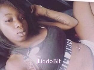 LiddoBit