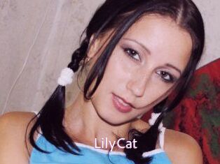 Lily_Cat_
