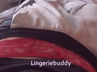 Lingeriebuddy