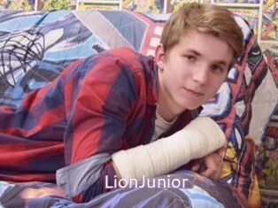 LionJunior Just Amateurs