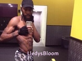 Lledys_Bloom