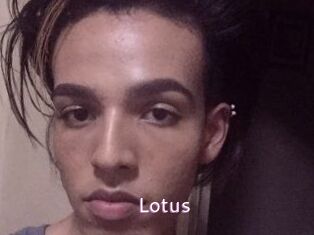 Lotus
