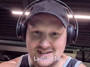 ladbod36 Just Amateurs