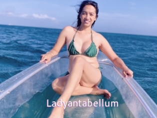 ladyantabellum Just Amateurs