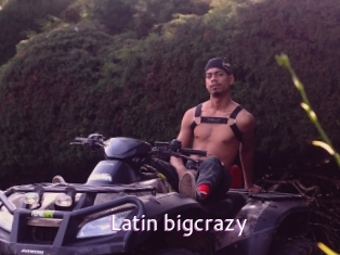 Latin_bigcrazy