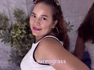 Laurengrass