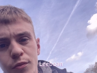 leebean Just Amateurs