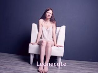 Leonecute