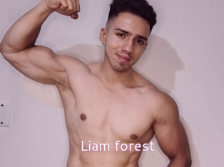 Liam_forest