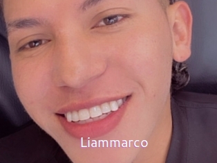 liammarco Just Amateurs