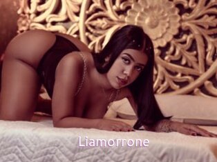 liamorrone Just Amateurs